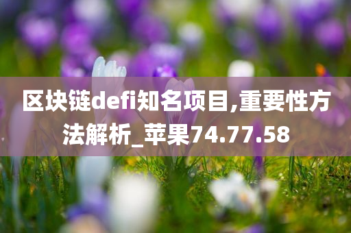 区块链defi知名项目,重要性方法解析_苹果74.77.58