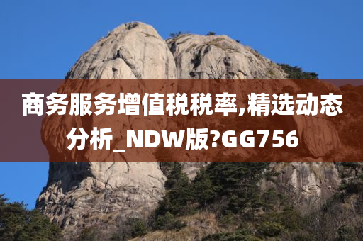 商务服务增值税税率,精选动态分析_NDW版?GG756