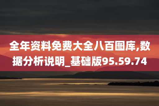 全年资料免费大全八百图库,数据分析说明_基础版95.59.74