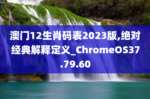 澳门12生肖码表2023版,绝对经典解释定义_ChromeOS37.79.60