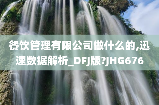 餐饮管理有限公司做什么的,迅速数据解析_DFJ版?JHG676