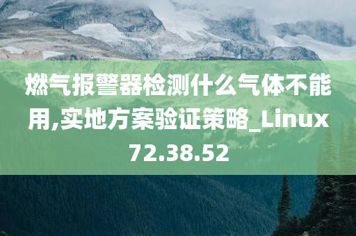 燃气报警器检测什么气体不能用,实地方案验证策略_Linux72.38.52