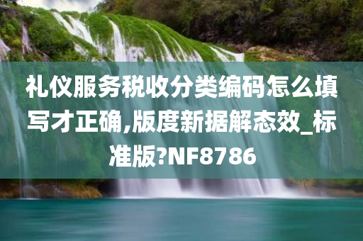 礼仪服务税收分类编码怎么填写才正确,版度新据解态效_标准版?NF8786