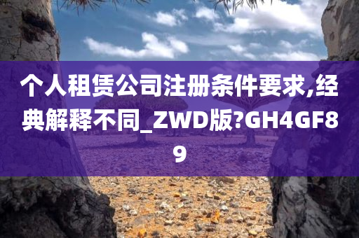 个人租赁公司注册条件要求,经典解释不同_ZWD版?GH4GF89