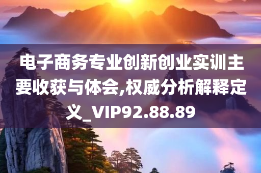 电子商务专业创新创业实训主要收获与体会,权威分析解释定义_VIP92.88.89