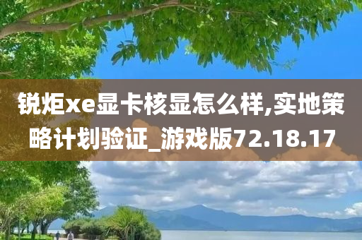 锐炬xe显卡核显怎么样,实地策略计划验证_游戏版72.18.17