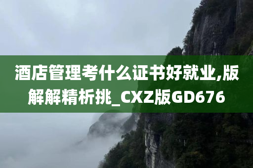 酒店管理考什么证书好就业,版解解精析挑_CXZ版GD676