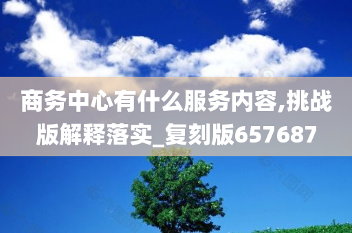 商务中心有什么服务内容,挑战版解释落实_复刻版657687