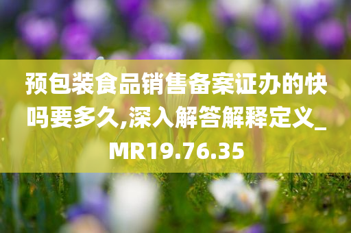 预包装食品销售备案证办的快吗要多久,深入解答解释定义_MR19.76.35