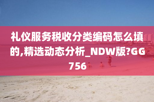 礼仪服务税收分类编码怎么填的,精选动态分析_NDW版?GG756