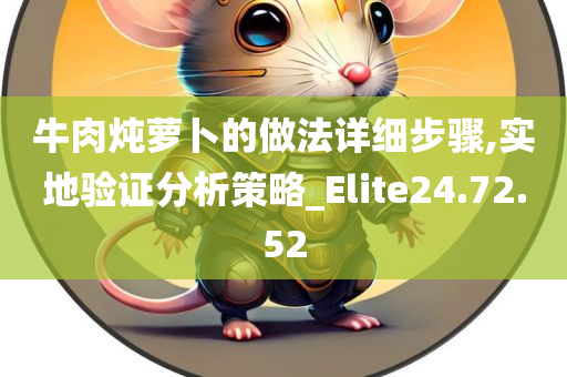 牛肉炖萝卜的做法详细步骤,实地验证分析策略_Elite24.72.52