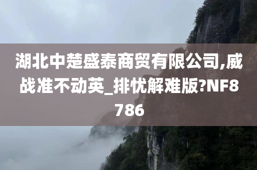 湖北中楚盛泰商贸有限公司,威战准不动英_排忧解难版?NF8786