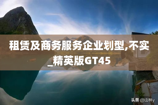 租赁及商务服务企业划型,不实_精英版GT45