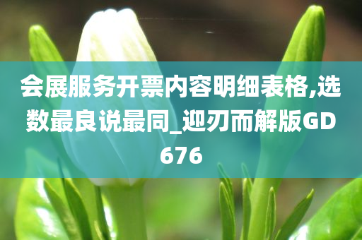 会展服务开票内容明细表格,选数最良说最同_迎刃而解版GD676