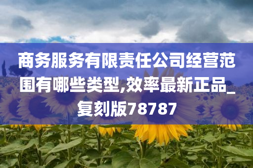 商务服务有限责任公司经营范围有哪些类型,效率最新正品_复刻版78787