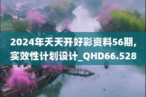 2024年天天开好彩资料56期,实效性计划设计_QHD66.528