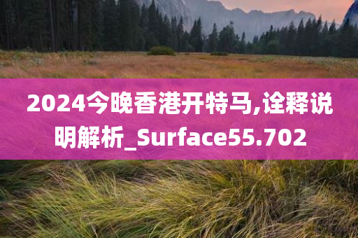 2024今晚香港开特马,诠释说明解析_Surface55.702