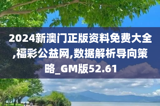 2024新澳门正版资料免费大全,福彩公益网,数据解析导向策略_GM版52.61