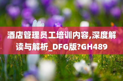 酒店管理员工培训内容,深度解读与解析_DFG版?GH489