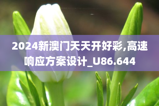 2024新澳门天天开好彩,高速响应方案设计_U86.644