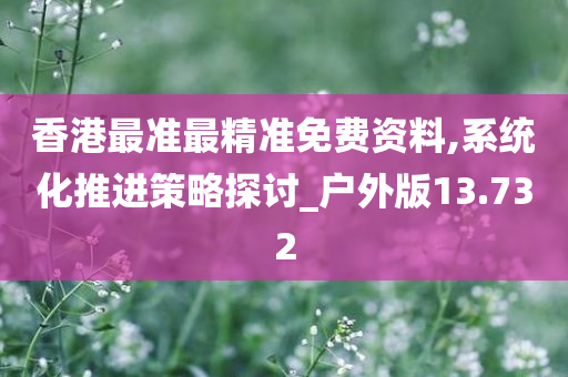 香港最准最精准免费资料,系统化推进策略探讨_户外版13.732