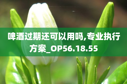 啤酒过期还可以用吗,专业执行方案_OP56.18.55