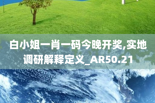 白小姐一肖一码今晚开奖,实地调研解释定义_AR50.21