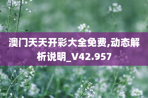 澳门天天开彩大全免费,动态解析说明_V42.957