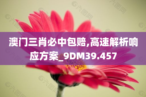 澳门三肖必中包赔,高速解析响应方案_9DM39.457