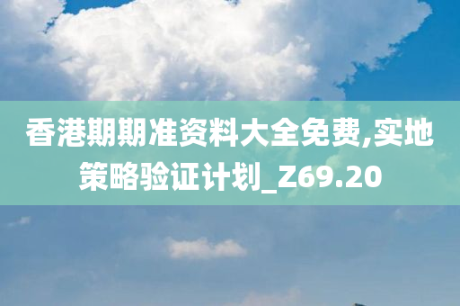 香港期期准资料大全免费,实地策略验证计划_Z69.20