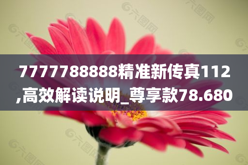 7777788888精准新传真112,高效解读说明_尊享款78.680