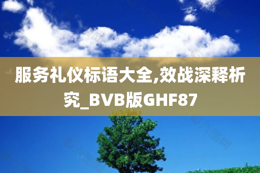 服务礼仪标语大全,效战深释析究_BVB版GHF87