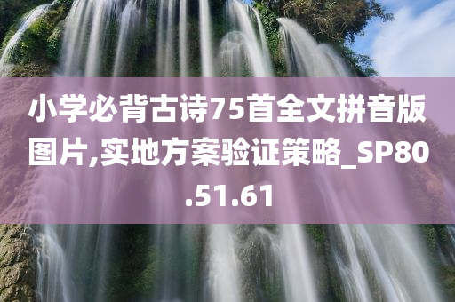 小学必背古诗75首全文拼音版图片,实地方案验证策略_SP80.51.61