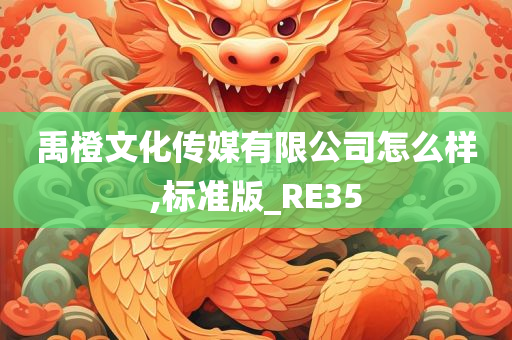 禹橙文化传媒有限公司怎么样,标准版_RE35