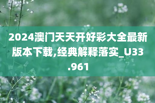 2024澳门天天开好彩大全最新版本下载,经典解释落实_U33.961