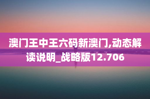 澳门王中王六码新澳门,动态解读说明_战略版12.706