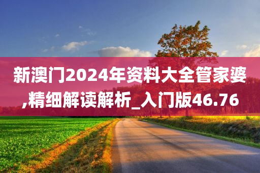 新澳门2024年资料大全管家婆,精细解读解析_入门版46.76