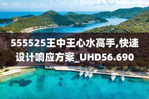 555525王中王心水高手,快速设计响应方案_UHD56.690