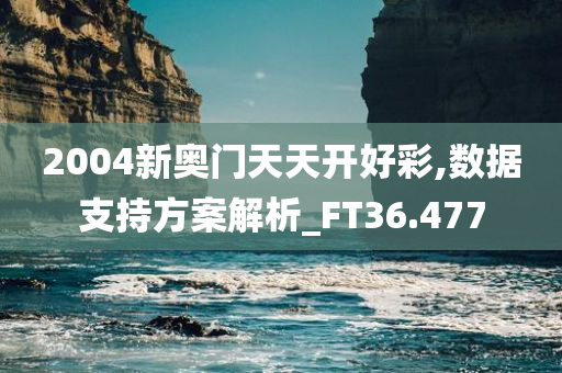 2004新奥门天天开好彩,数据支持方案解析_FT36.477