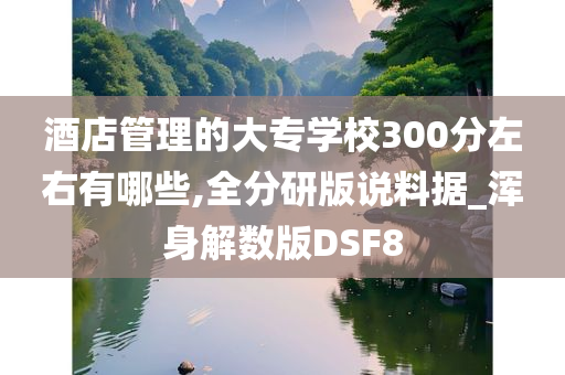 酒店管理的大专学校300分左右有哪些,全分研版说料据_浑身解数版DSF8