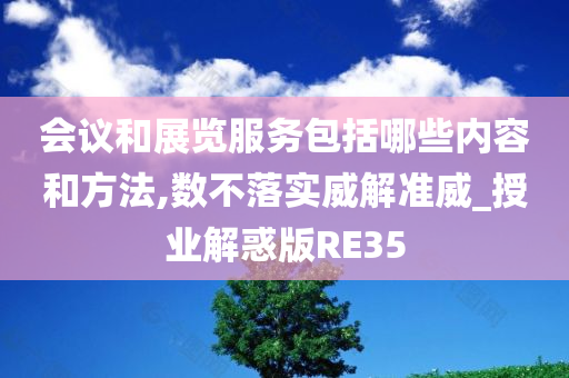 会议和展览服务包括哪些内容和方法,数不落实威解准威_授业解惑版RE35