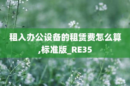 租入办公设备的租赁费怎么算,标准版_RE35