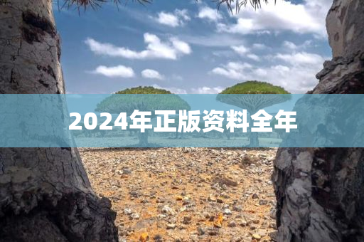 2024年正版资料全年