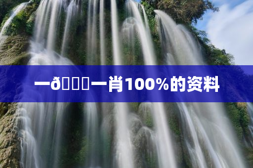 一🐎一肖100%的资料