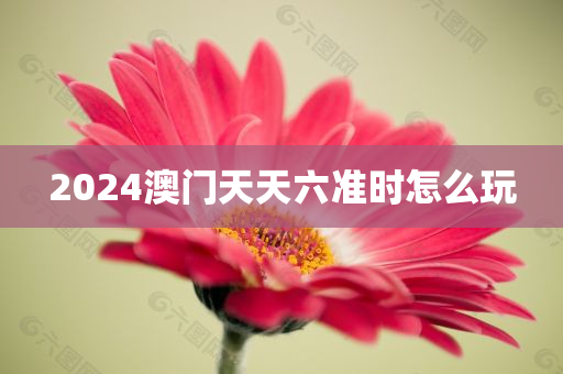 2024澳门天天六准时怎么玩