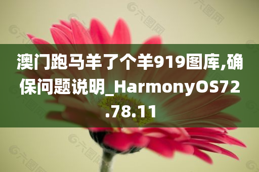 澳门跑马羊了个羊919图库,确保问题说明_HarmonyOS72.78.11