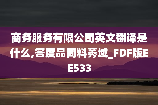 商务服务有限公司英文翻译是什么,答度品同料莠域_FDF版EE533