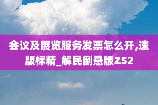 会议及展览服务发票怎么开,速版标精_解民倒悬版ZS2