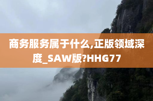 商务服务属于什么,正版领域深度_SAW版?HHG77