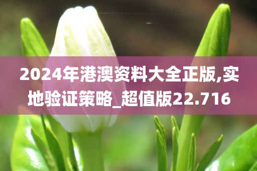 2024年港澳资料大全正版,实地验证策略_超值版22.716